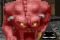 Doom: Red Angry Monster